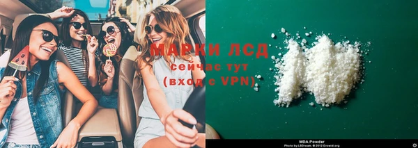 прущие грибы Белокуриха