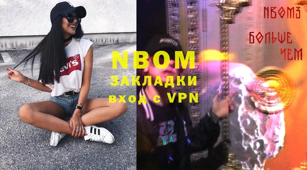 прущие грибы Белокуриха