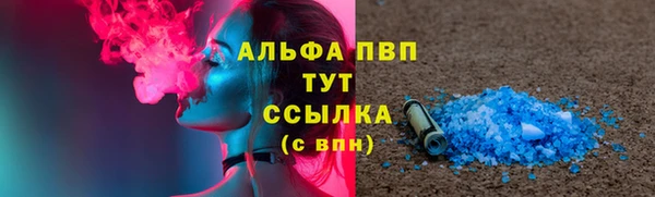 прущие грибы Белокуриха