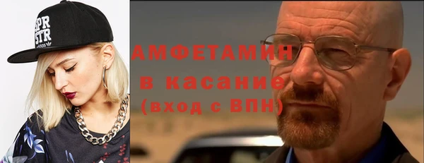 прущие грибы Белокуриха