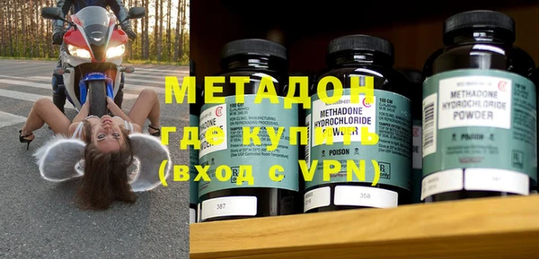 прущие грибы Белокуриха