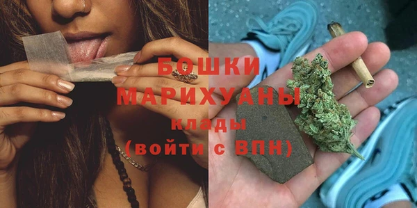 спиды Богданович