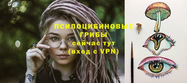 прущие грибы Белокуриха