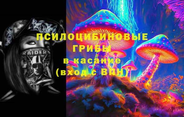 бошки Богородицк