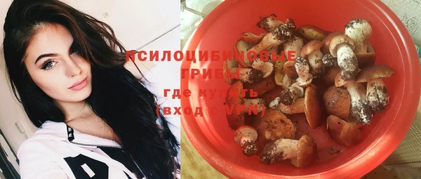 прущие грибы Белокуриха