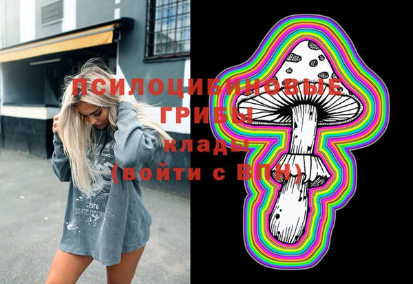 прущие грибы Белокуриха