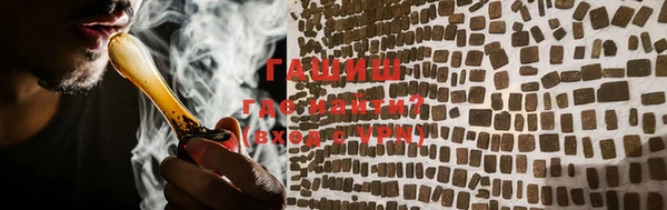 прущие грибы Белокуриха