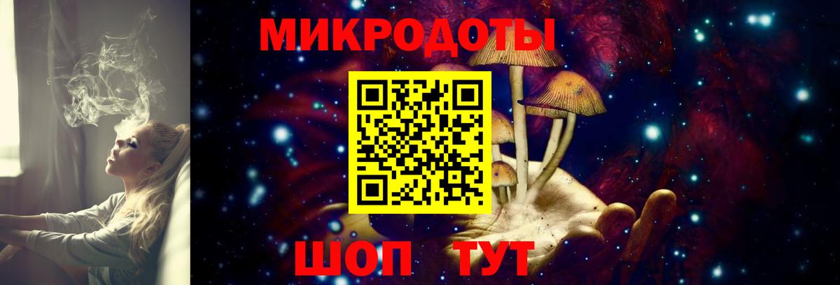 Славгород  Псилоцибиновые грибы Psilocybe  Вход с VPN  Псилоцибиновые грибы мицелий 