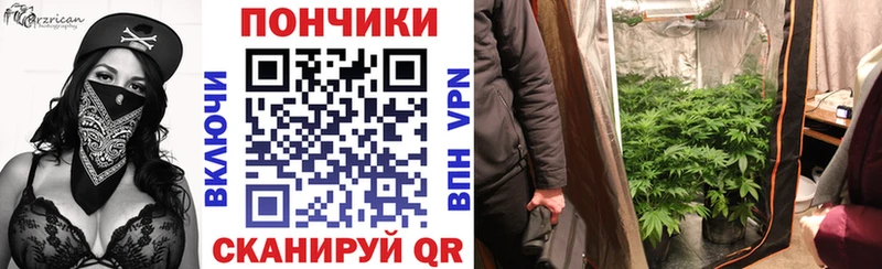 как найти наркотики  Славгород  Шишки марихуана THC 21% 