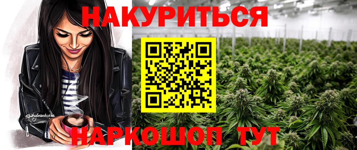 Бошки марихуана Amnesia Славгород