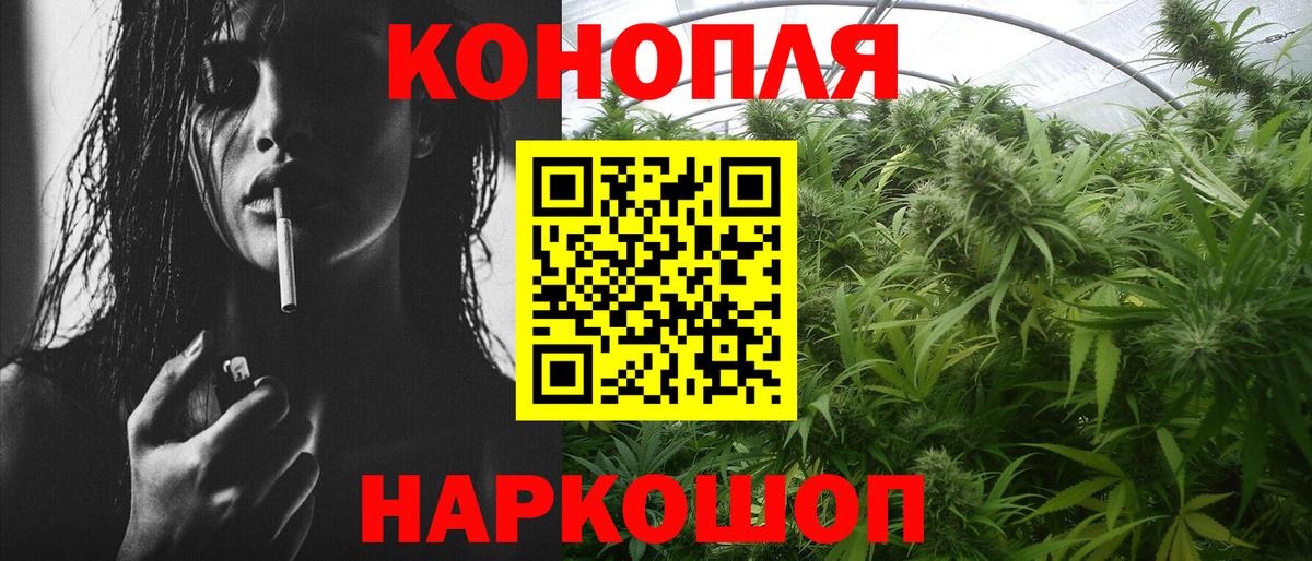 Бошки марихуана OG Kush  Вход с VPN  Славгород  Бошки марихуана сатива 